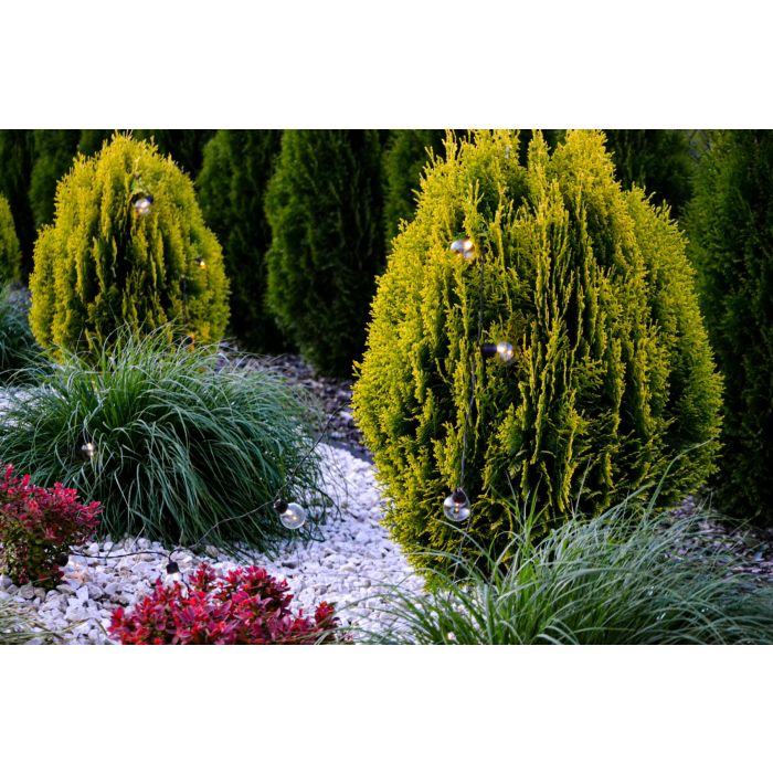 Solcelledrevet LED-kuglekæde 7,5 m – varmt hvidt lys (3000K) | Solcelledrevet havebelysning