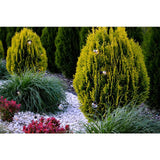 Solcelledrevet LED-kuglekæde 7,5 m – varmt hvidt lys (3000K) | Solcelledrevet havebelysning