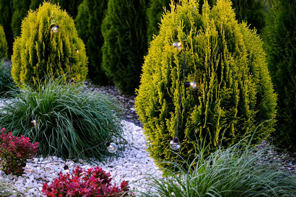 Havegirlande – 30x LED-kugler – 10,6m – Varm hvid 3000K – Vejrbestandig og dekorativ