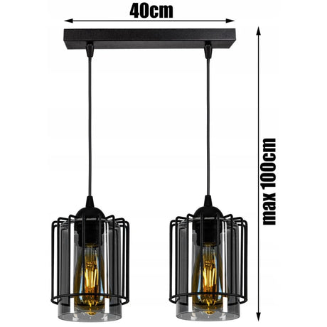 Hanglamp 2 lampen zwart metaal draadkap industrieel