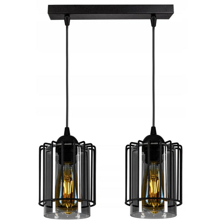 Hanglamp 2 lampen zwart metaal draadkap industrieel