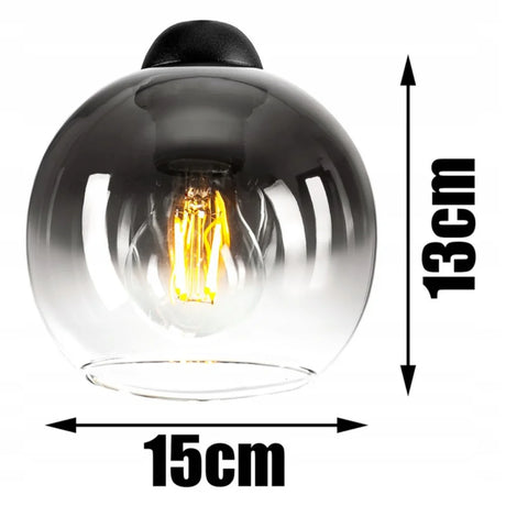 plafondlamp industrieel zwart glas woonkamer